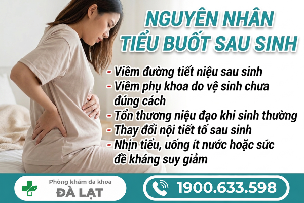 Hình ảnh minh họa